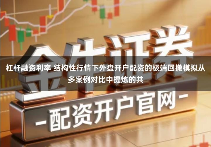 杠杆融资利率 结构性行情下外盘开户配资的极端回撤模拟从多案例对比中提炼的共