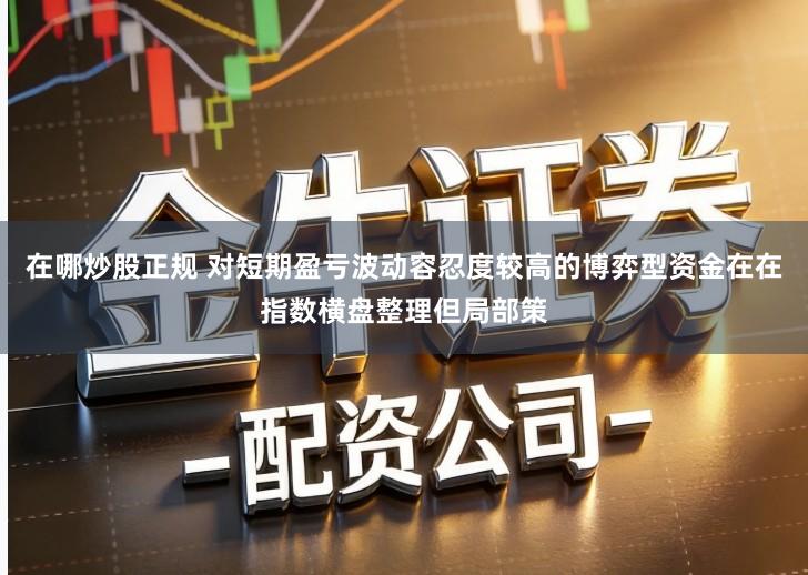 在哪炒股正规 对短期盈亏波动容忍度较高的博弈型资金在在指数横盘整理但局部策