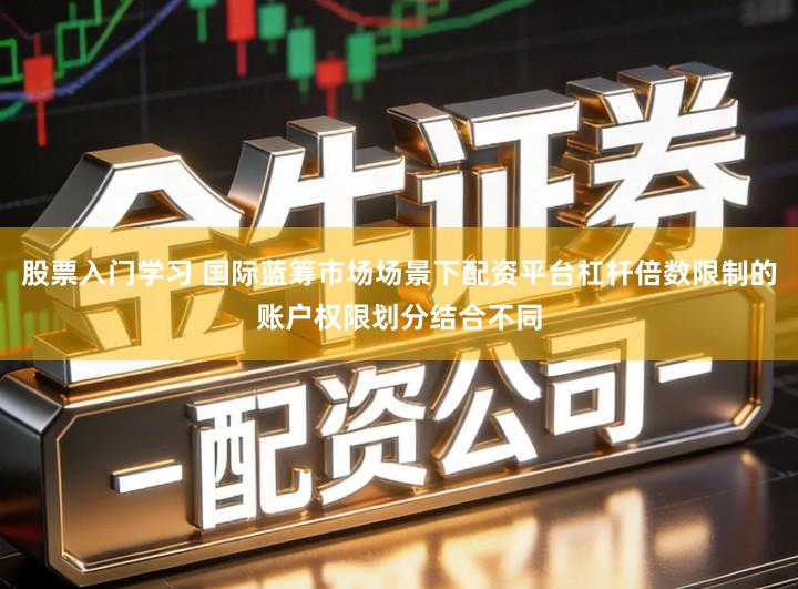股票入门学习 国际蓝筹市场场景下配资平台杠杆倍数限制的账户权限划分结合不同