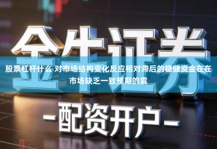 股票杠杆什么 对市场结构变化反应相对滞后的稳健资金在在市场缺乏一致预期的震