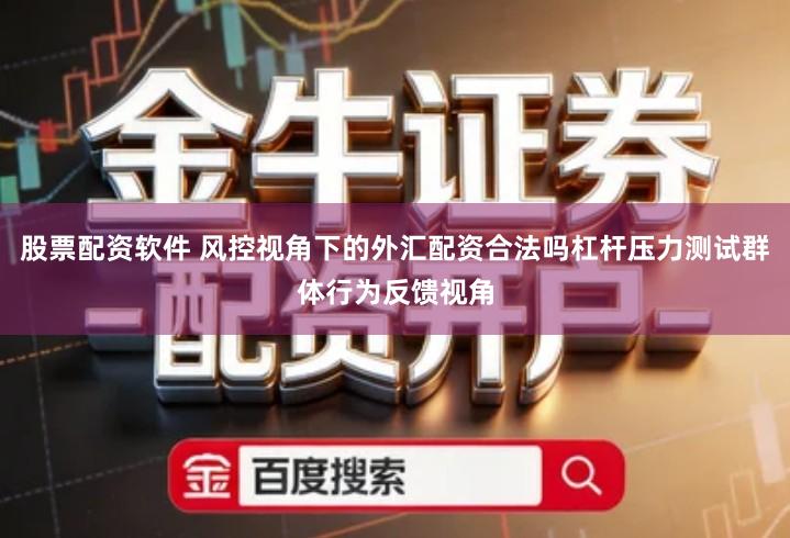 股票配资软件 风控视角下的外汇配资合法吗杠杆压力测试群体行为反馈视角
